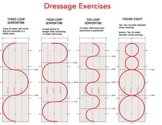 the instructions for dressage exercises are shown in red and white, with black lines on them