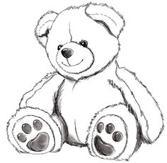 a drawing of a teddy bear with paw prints