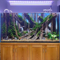 an aquarium with trees growing out of it