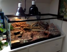 a fish tank filled with lots of different types of rocks and plants on top of a counter