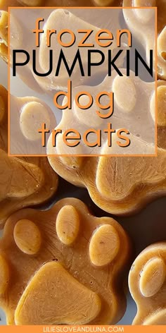 Paw shaped frozen pumpkin dog treats with text overlay that reads frozen pumpkin dog treats. Homemade Pumpkin Puree For Dogs, Dog Treats Made With Yogurt, Dog Treats With Greek Yogurt, Frozen Pumpkin Treats For Dogs, Diy Dog Treats For Joints, Golden Retriever Food Recipes, Dog Biscuits Homemade Pumpkin, Pumpkin Dog Treats Easy No Bake, Pumpkin Frozen Dog Treats