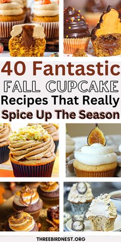 40 fantastic fall cupcake recipes that really spice up the season