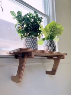 two potted plants sit on a shelf next to a window sill in front of a window