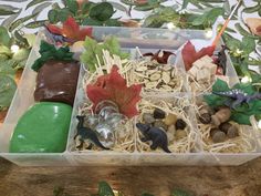 a plastic container filled with fake food on top of a wooden table covered in leaves