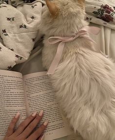 a white cat sitting on top of a bed next to an open book with a pink ribbon