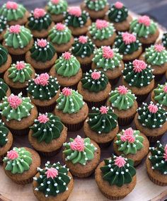 cupcakes decorated with green and pink frosting are on a wooden platter