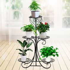 three tiered plant stand with potted plants on it