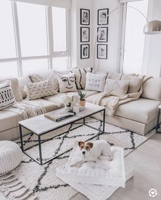 a dog laying on top of a rug in a living room