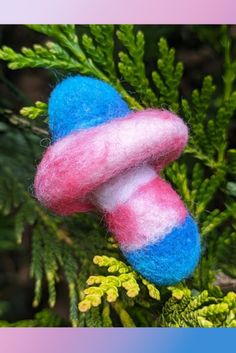 a blue and pink object hanging from a tree branch with needles in the foreground