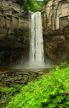 a waterfall is in the middle of some green plants and flowers, with pink flowers on either side