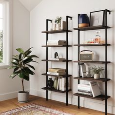 a living room with some bookshelves and a potted plant on the floor