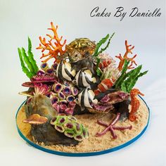 an arrangement of sea animals and corals on a blue plate with the words cakes by danielle