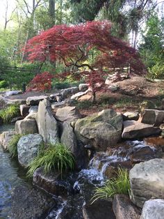 a small stream running through a lush green forest filled with rocks and trees in the background