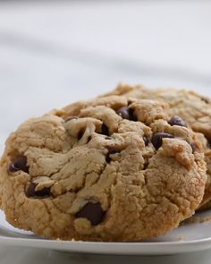 two chocolate chip cookies on a white plate