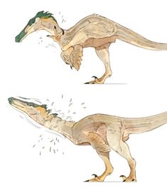 two different types of dinosaurs are depicted in this drawing