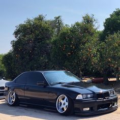 a black car parked in front of some orange trees