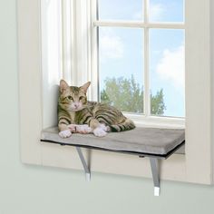 a cat laying on top of a window sill in front of a white wall