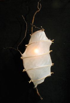 a light that is on top of a tree branch with some branches attached to it