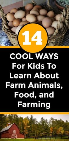 Farm To School Ideas, Agriculture Activities For Preschool, Farm Homeschool Activities, Agriculture Activities For Kids, Farming Activities For Kids, Animal Kindergarten, Farming Activities, Farm Animals For Kids