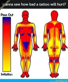 an image of the human body with different colors and sizes, including male and female