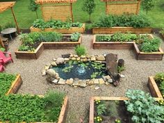 a garden filled with lots of different types of plants