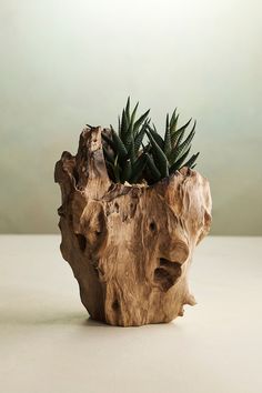 a wooden planter with succulents in it sitting on a white surface