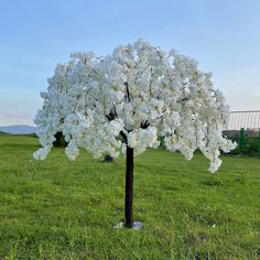 a tree with white flowers in the middle of a field