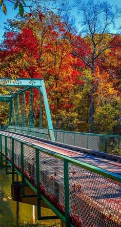 the bridge is surrounded by colorful trees and foliage