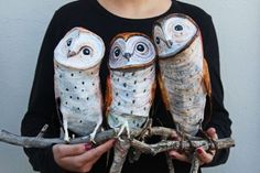 three owls are sitting on branches and one is holding something in its hands while the other stands behind them