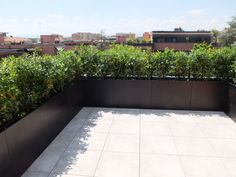 an empty patio with plants on the side and buildings in the backgrouds