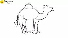 how to draw a camel for kids step by step