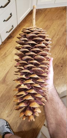 a person holding up a pine cone in their hand on the kitchen counter top, with white cabinets behind them