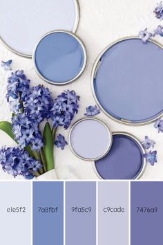 some blue and purple paint colors are in the same color scheme, but one is white