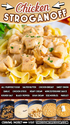 chicken stroganoni with sauce on the side