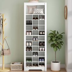 a white bookcase filled with shoes next to a potted plant on top of a hard wood floor