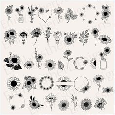 sunflowers and other flowers are drawn in black ink