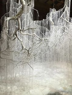 an ice covered tree branch in front of some icicles hanging from the branches and snow on the ground