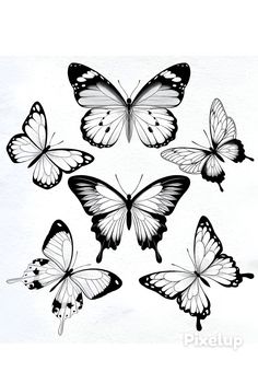 Ornamental Butterfly Tattoo, Fineline Butterfly Tattoo, Tattoo Papillon, Tattoo Ornament, Butterfly Tattoos Images, Borboleta Tattoo, Butterfly Tattoo Stencil, Butterfly Outline, Butterfly Tattoo Designs