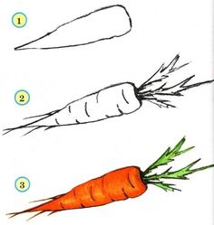 how to draw a carrot with step by step instructions for kids and beginner children's drawing