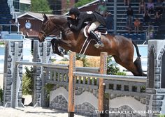 a person on a horse jumping over an obstacle