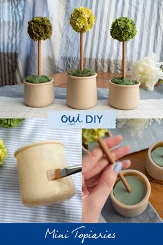 DIY painting upcycled Oui by Yoplait glass jars, placing miniature topiaries in foam in Oui by Yoplait glass jars, and gluing artificial moss at the base of topiary. Diy Home Decor Crafts, Home Decor Crafts, Topiaries, Adult Crafts, Spring Diy, Oui Oui