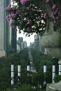 a city with tall buildings and lots of trees in the foreground, surrounded by purple flowers