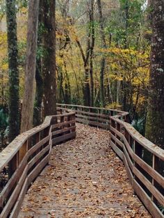 a wooden bridge surrounded by trees and leaves