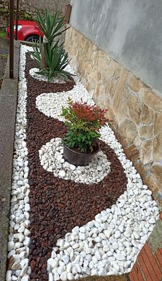 a potted plant sitting on top of a white and brown rock garden bed next to a red car