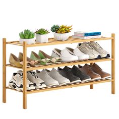 several pairs of shoes are lined up on a wooden shelf with succulents