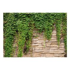 an image of ivy growing on the side of a brick wall