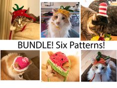 there are six pictures of cats wearing knitted hats with the caption bundle six patterns