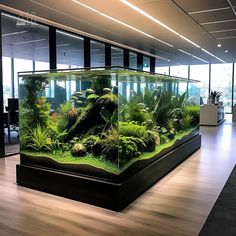 an office filled with lots of different types of plants and animals in a fish tank