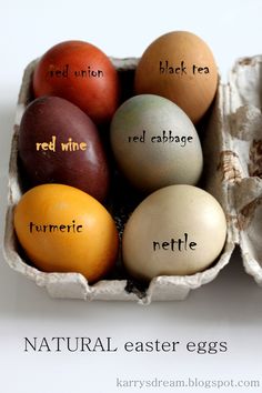 an egg carton with six eggs labeled in different colors and names, including red wine, red cabbage, red cathaye, tumerice, nettle