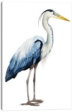 a watercolor painting of a blue and white bird with long legs, standing on one leg